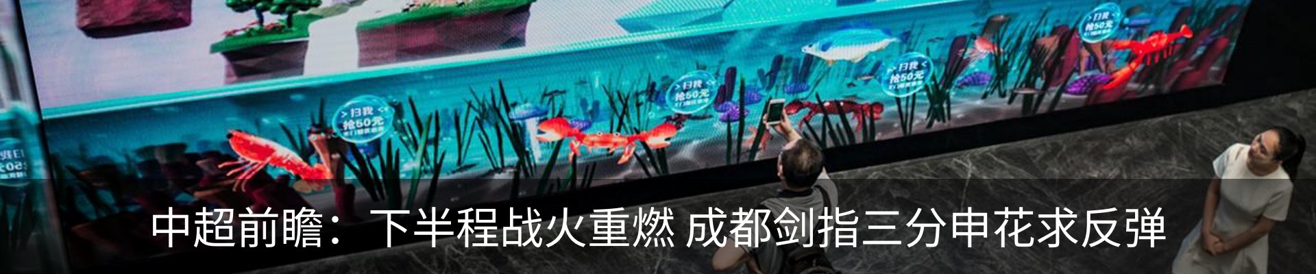 新闻动态