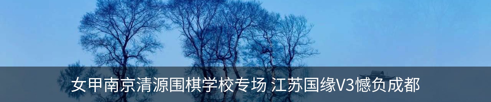 新闻动态