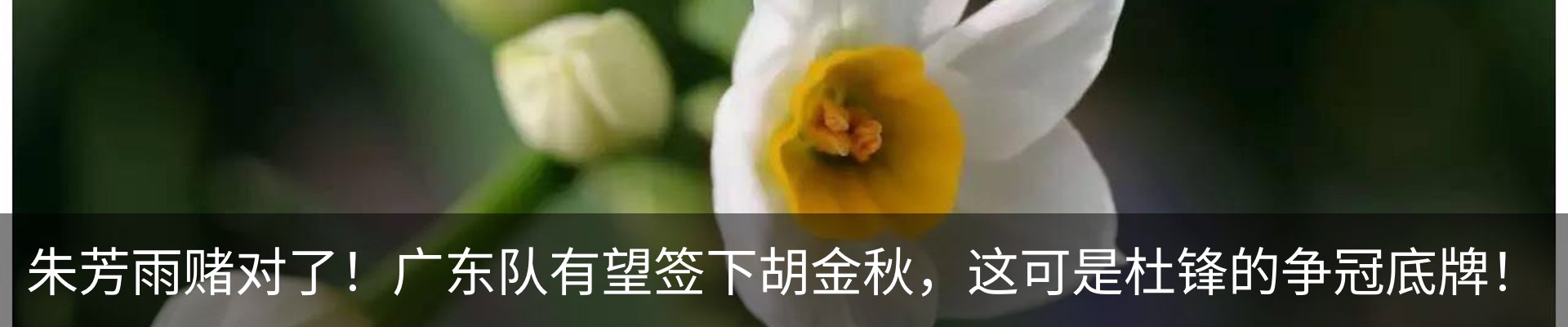 新闻动态