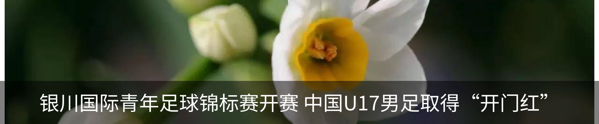 新闻动态